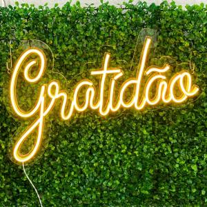 Gratidão neon led Acrílico 2mm cristal 60x30cm Base transparente neon led Corte computadorizado 